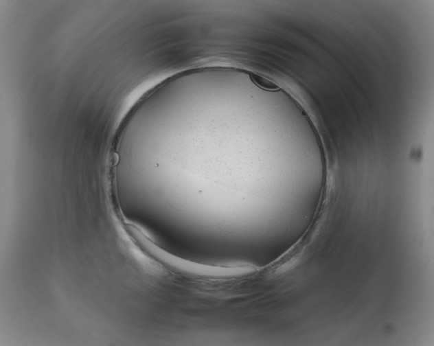 X0000112791149200909111205