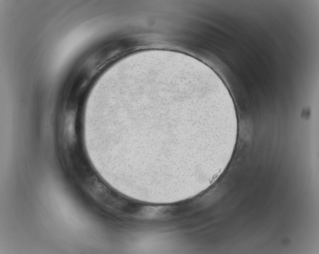 X0000112791150200909111205