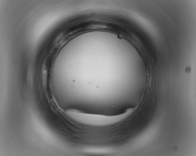 X0000112791151200909111205