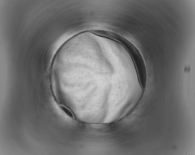 X0000112791152200909111205