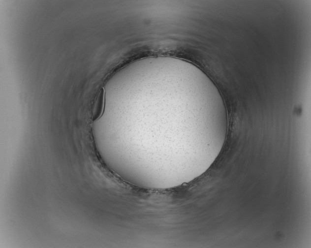 X0000112791153200909111205