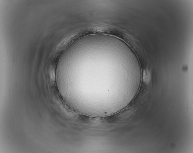 X0000112791155200909111205