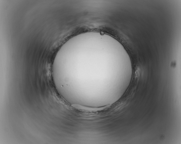 X0000112791156200909111205