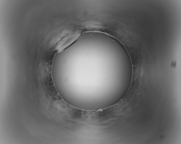 X0000112791157200909111205