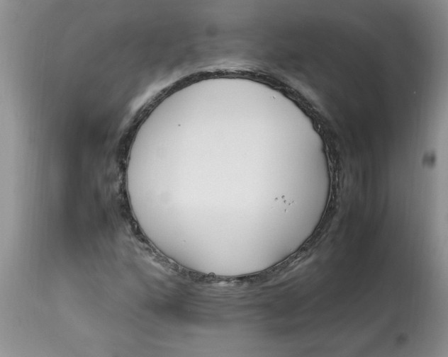 X0000112791160200909111205