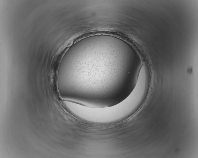 X0000112791161200909111205