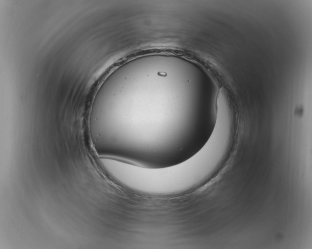 X0000112791162200909111205