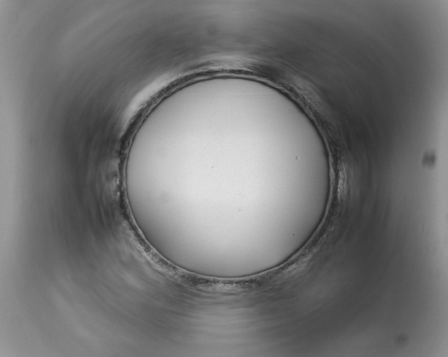 X0000112791164200909111205