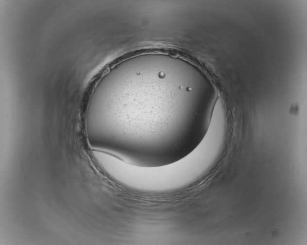 X0000112791165200909111205