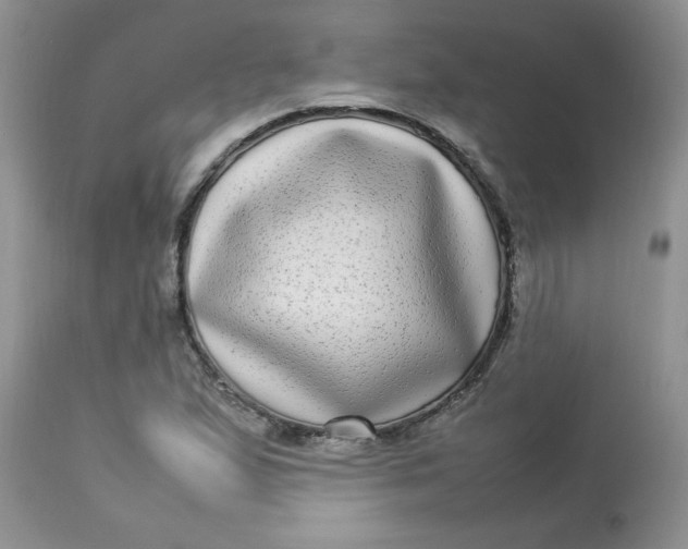 X0000112791167200909111204