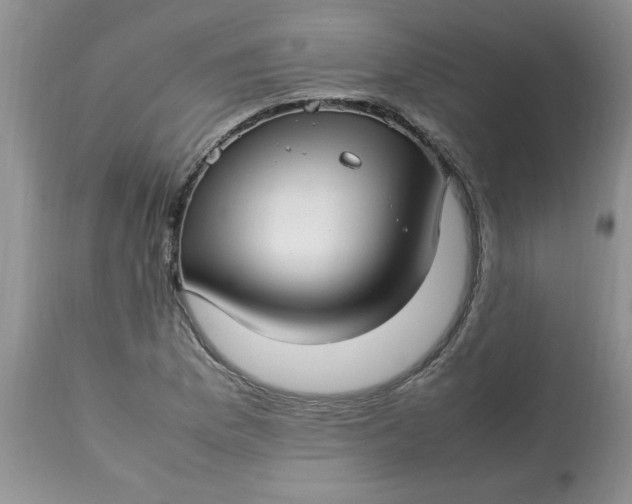 X0000112791169200909111204