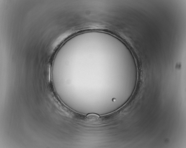 X0000112791171200909111204