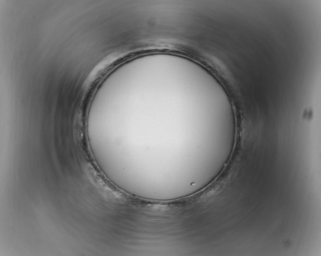 X0000112791172200909111204