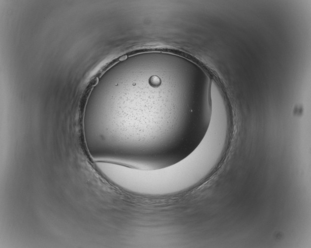 X0000112791173200909111204