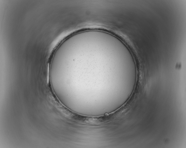 X0000112791175200909111204