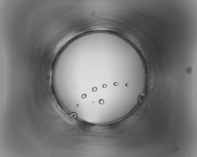 X0000112791179200909111204