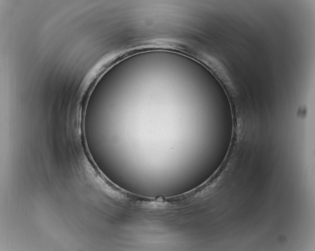 X0000112791180200909111204