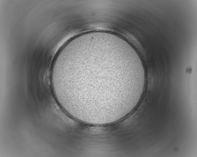 X0000112791182200909111204