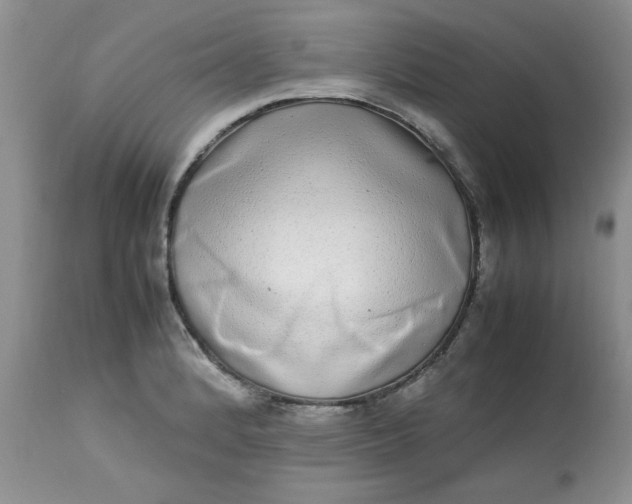 X0000112791184200909111204