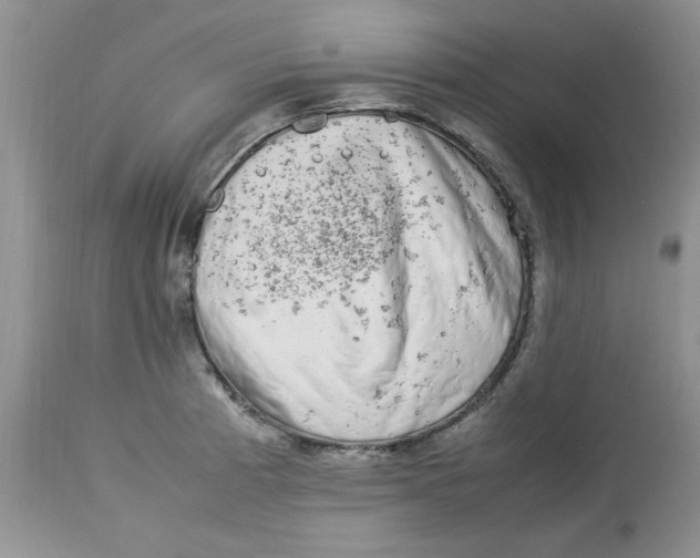 X0000112791185200909111204