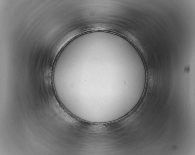 X0000112791186200909111204