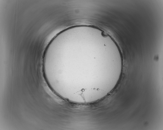 X0000112791187200909111204