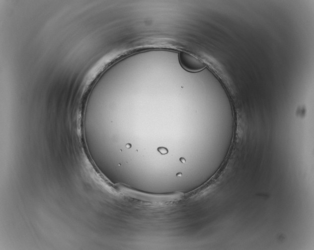 X0000112791188200909111204