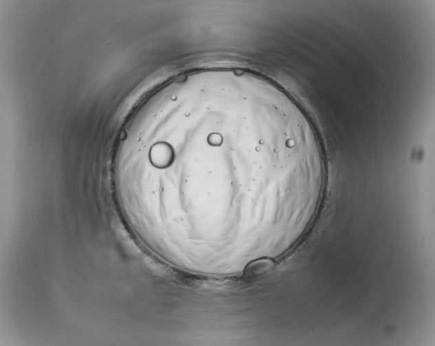 X0000112791189200909111204