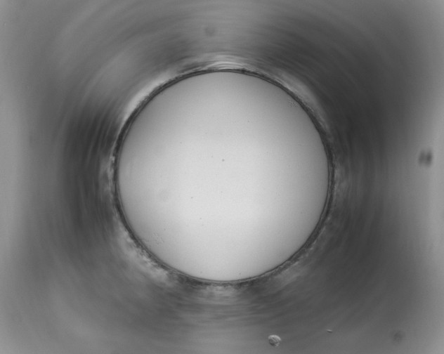 X0000112791190200909111204