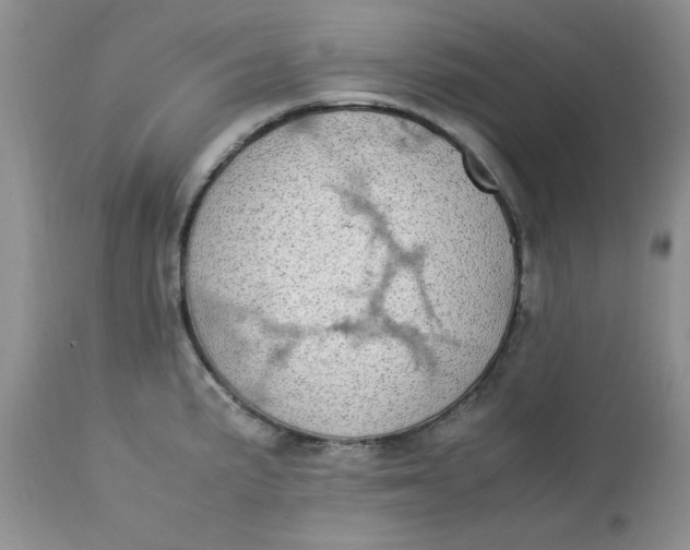 X0000112791191200909111204