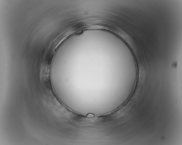 X0000112791193200909111204