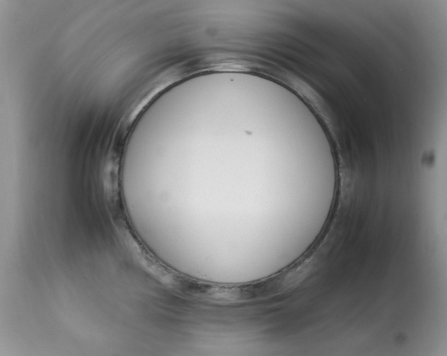 X0000112791194200909111204