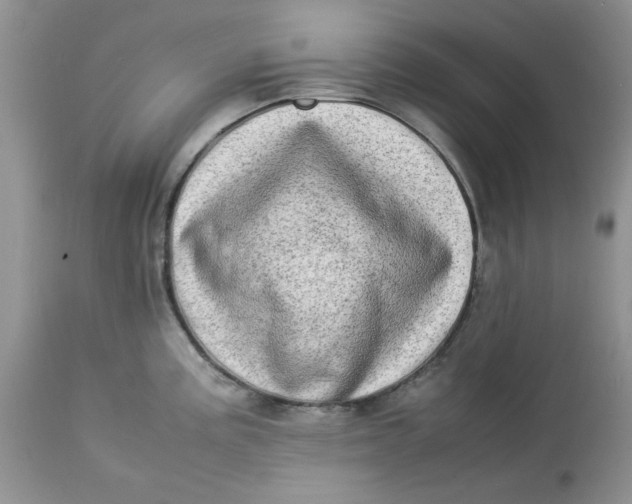 X0000112791195200909111204