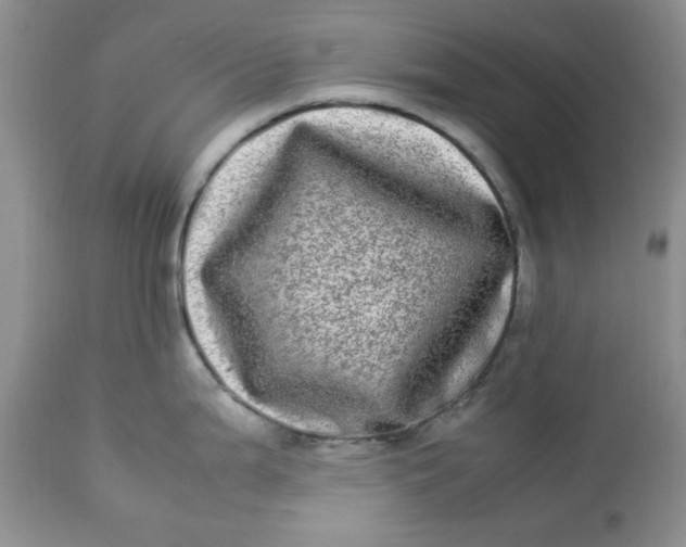 X0000112791199200909111204