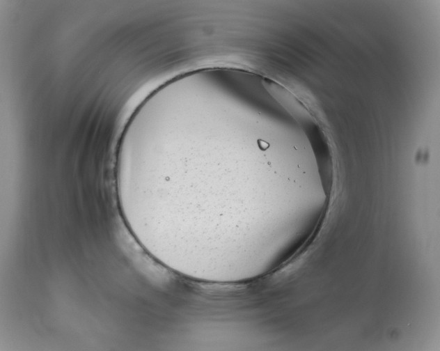 X0000112791200200909111204