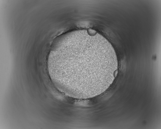 X0000112791201200909111203