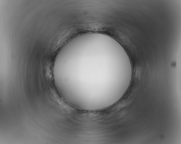 X0000112791202200909111203