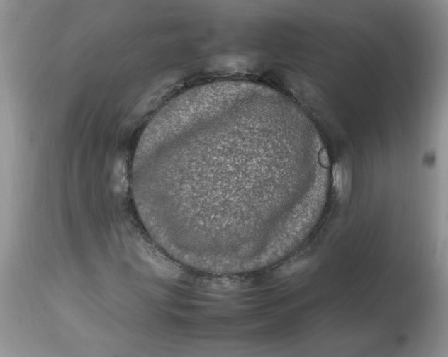 X0000112791203200909111203