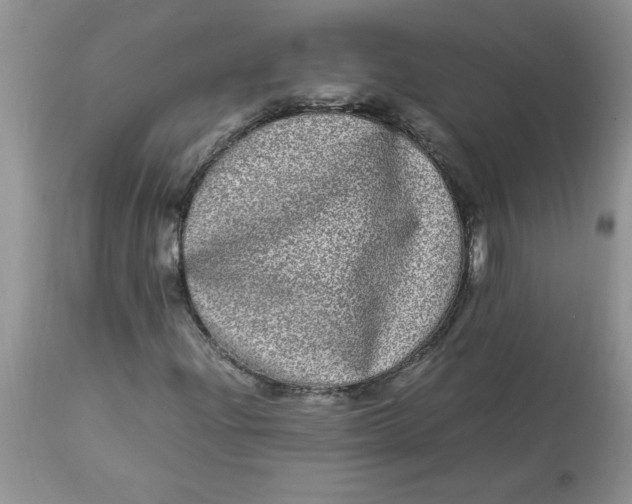 X0000112791204200909111203