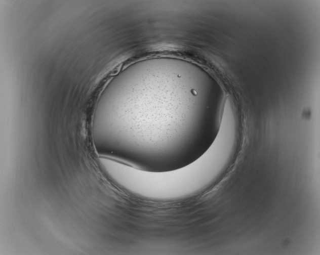 X0000112791209200909111203