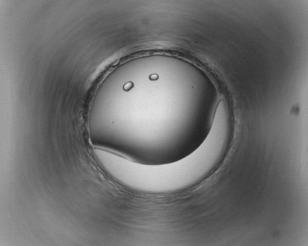 X0000112791210200909111203