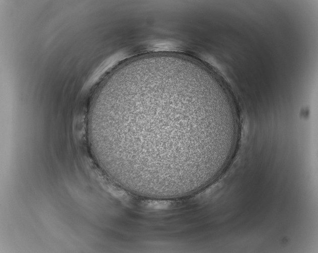 X0000112791211200909111203