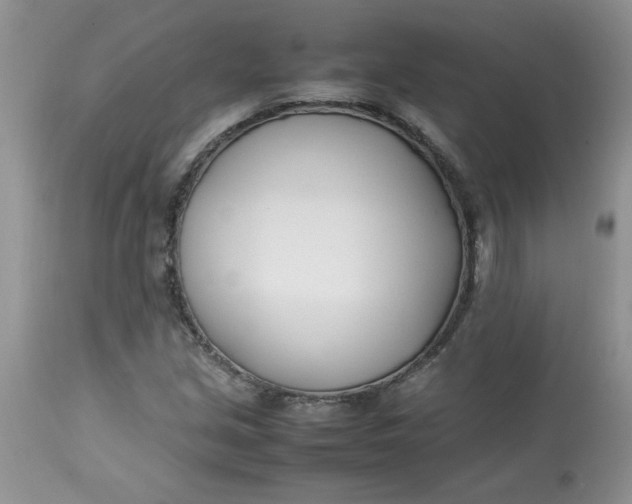 X0000112791213200909111203