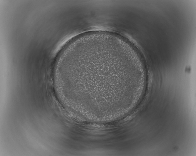 X0000112791215200909111204