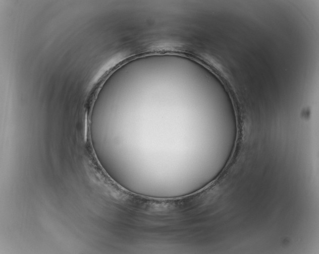 X0000112791219200909111204