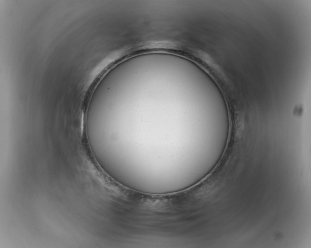 X0000112791221200909111204