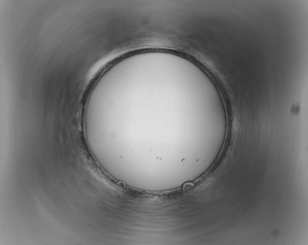 X0000112791222200909111204