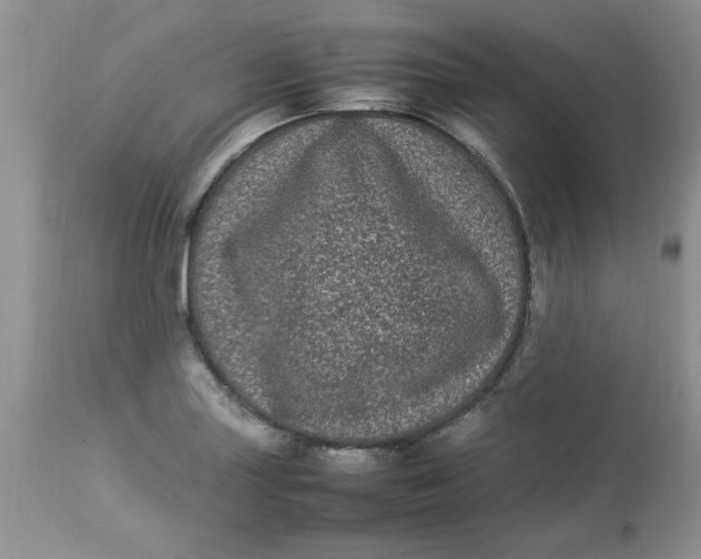 X0000112791227200909111204