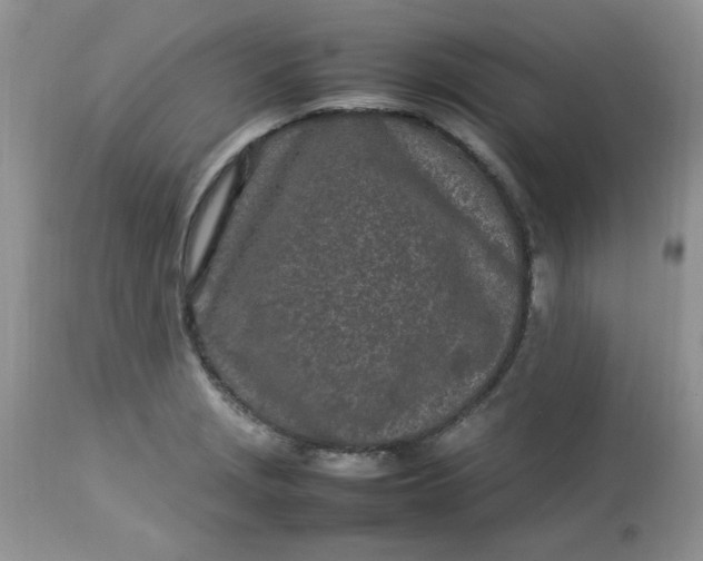 X0000112791229200909111204