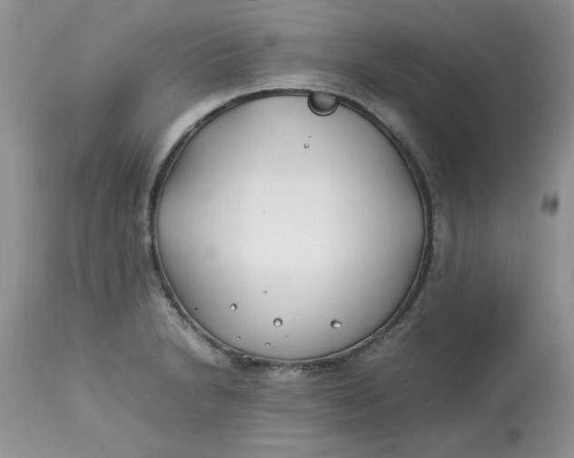 X0000112791230200909111204